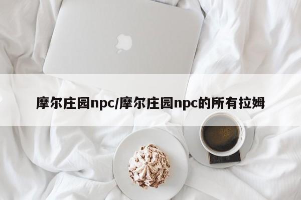 摩尔庄园npc/摩尔庄园npc的所有拉姆