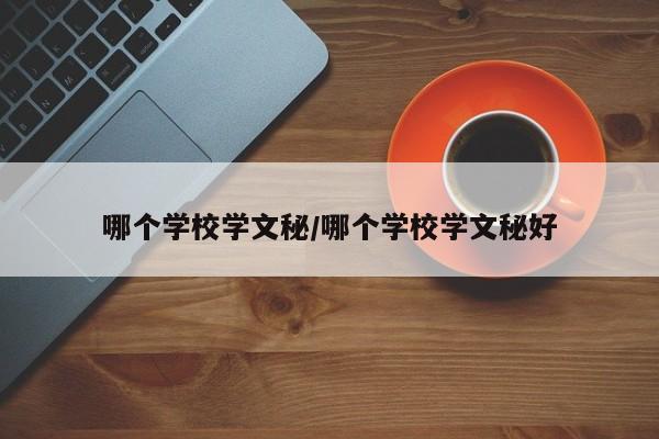 哪个学校学文秘/哪个学校学文秘好